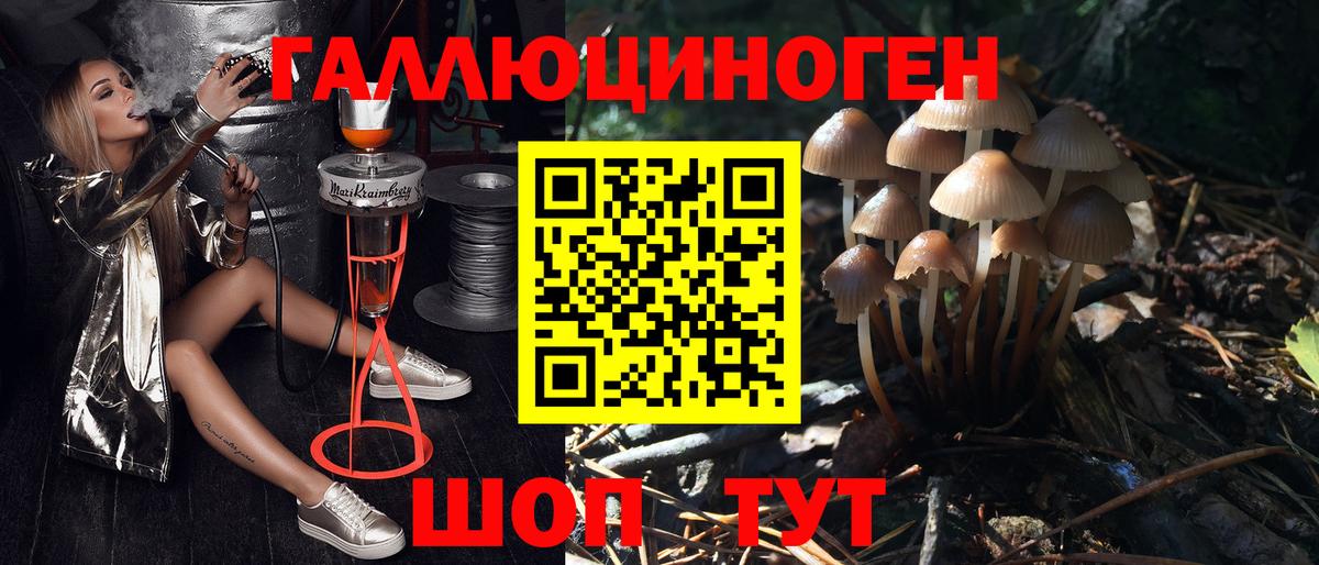 Галлюциногенные грибы Psilocybe Белая Калитва