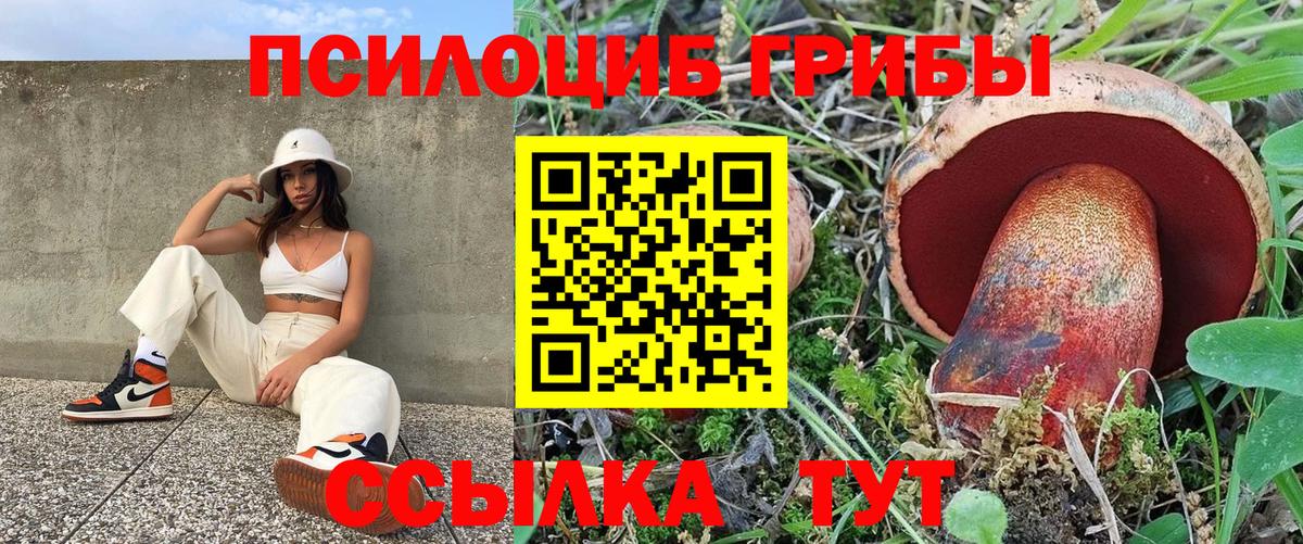 Галлюциногенные грибы Psilocybine cubensis  сколько стоит  Белая Калитва  Вход с VPN 